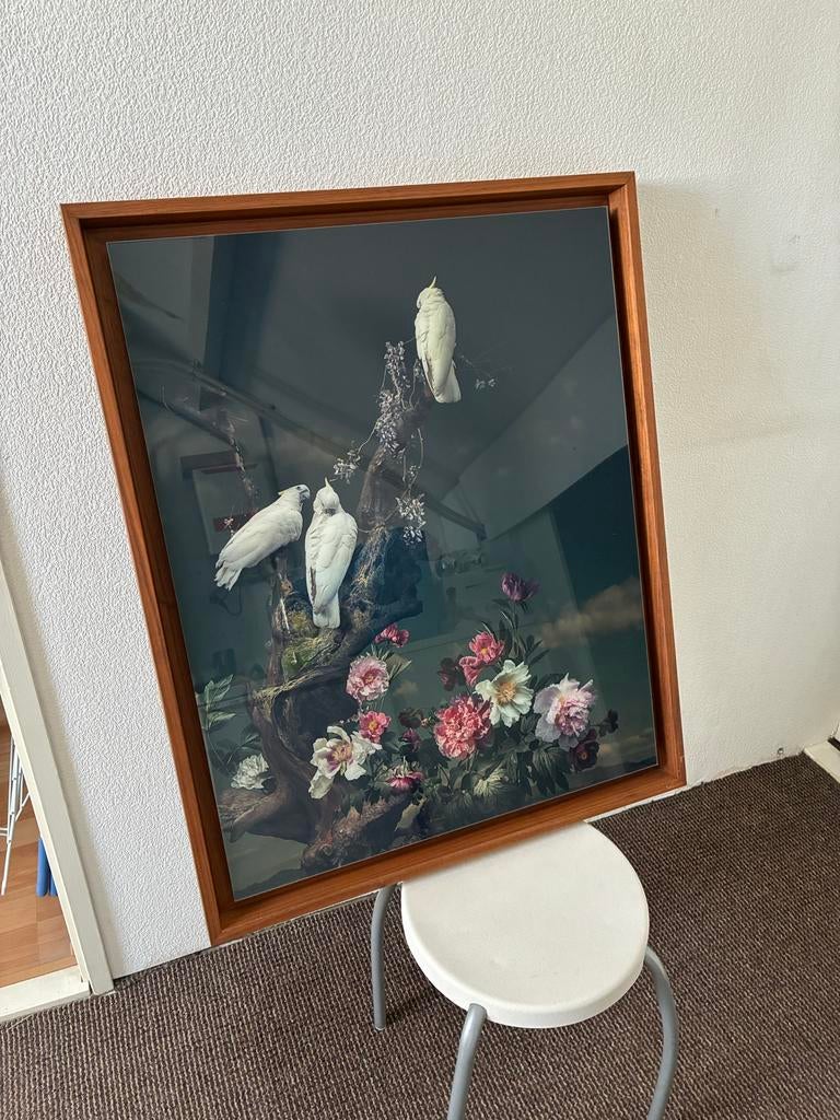 Kunstwerk 'Three White Birds' van Bin Yang (YellowKorner), Ophalen