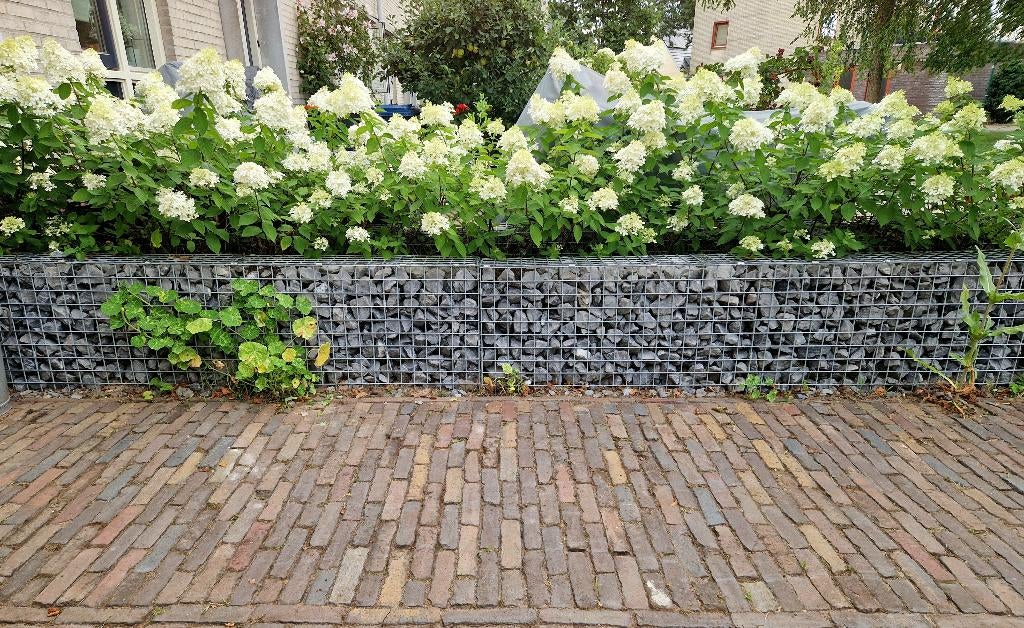 steenkorven, Ophalen, Gebruikt, IJzer, 3 tot 6 meter