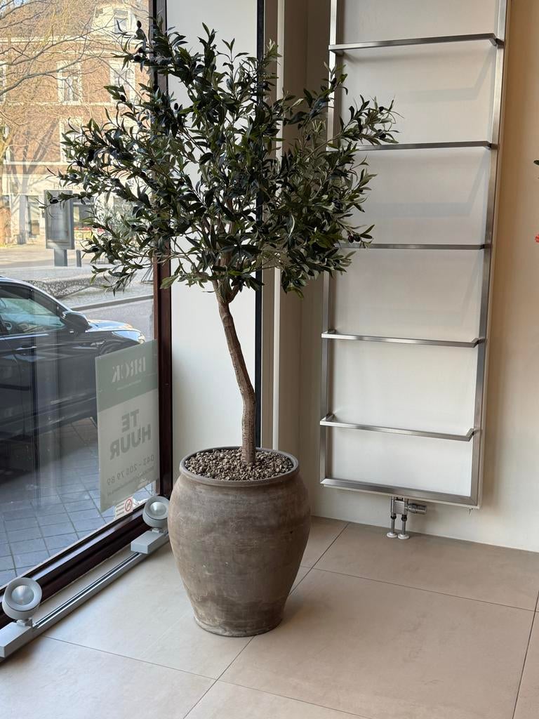 Kunst olijfboom 180 cm, Ophalen, Binnen, Groen, Onderhoudsvrij