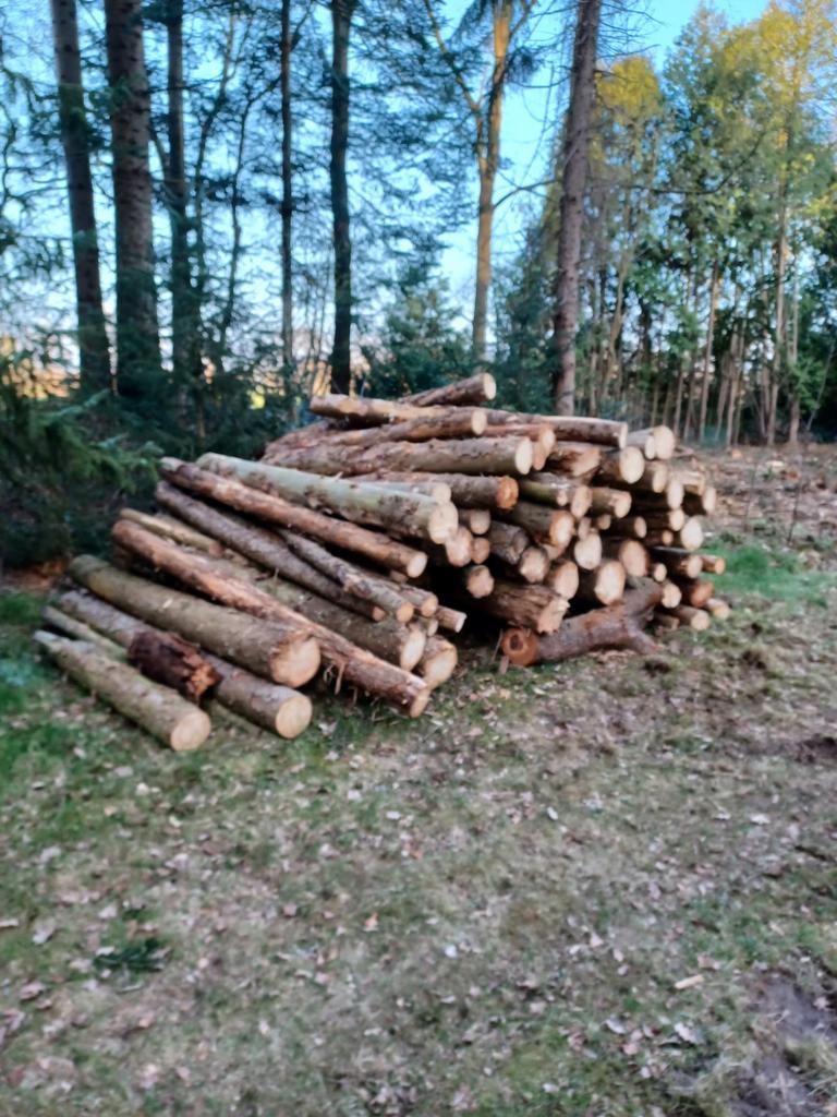 HAARDHOUT NAALDHOUT OP STAM HOUTKACHEL, Tuin en Terras, Haardhout, 6 m³ of meer, Ophalen, Overige houtsoorten, Stammen