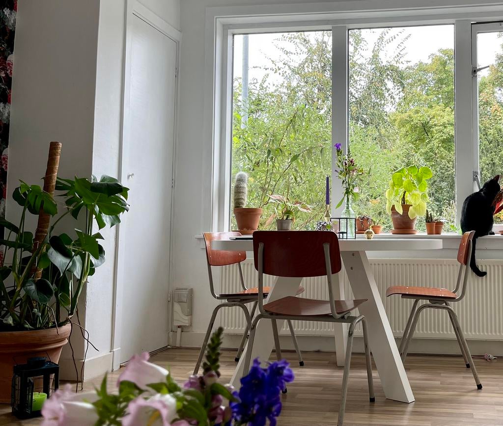 As woe avond / zaterdag ophalen: Witte eettafel hout, Overige materialen, Gebruikt, 100 tot 150 cm, Rond