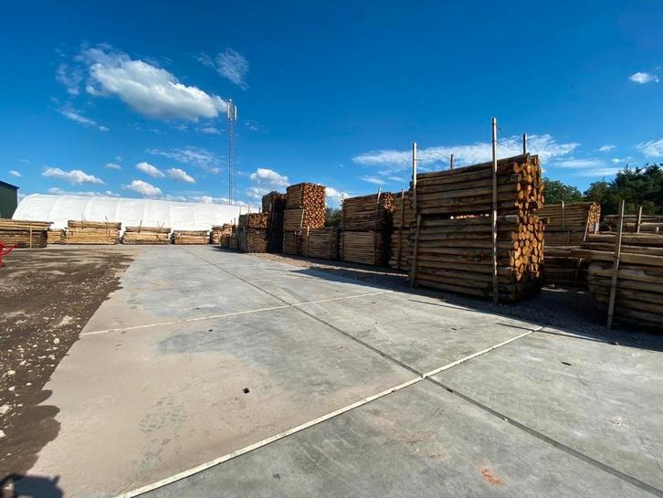 Kastanje palen: A-kwaliteit, rechte palen uit Italie!, Tuin en Terras, Palen, Balken en Planken, Palen, 250 cm of meer, Verzenden