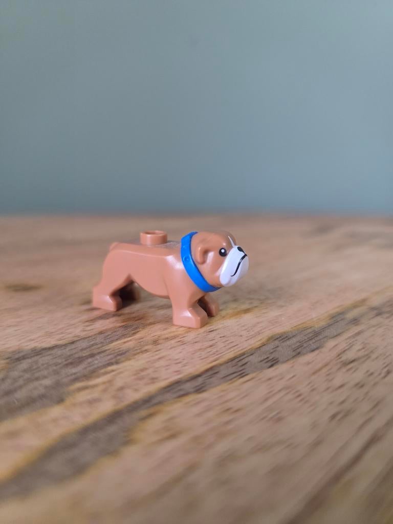 Lego Dieren: Hond en Uil (losse stenen), Ophalen of Verzenden