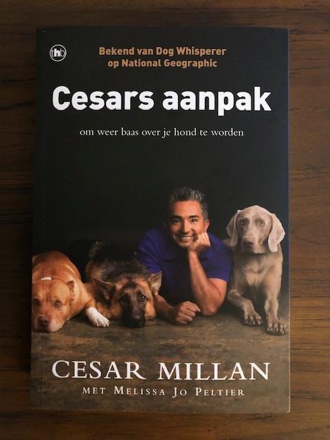 Cesars aanpak  -  Cesar Millan, Boeken, Dieren en Huisdieren, Zo goed als nieuw, Honden, Ophalen of Verzenden