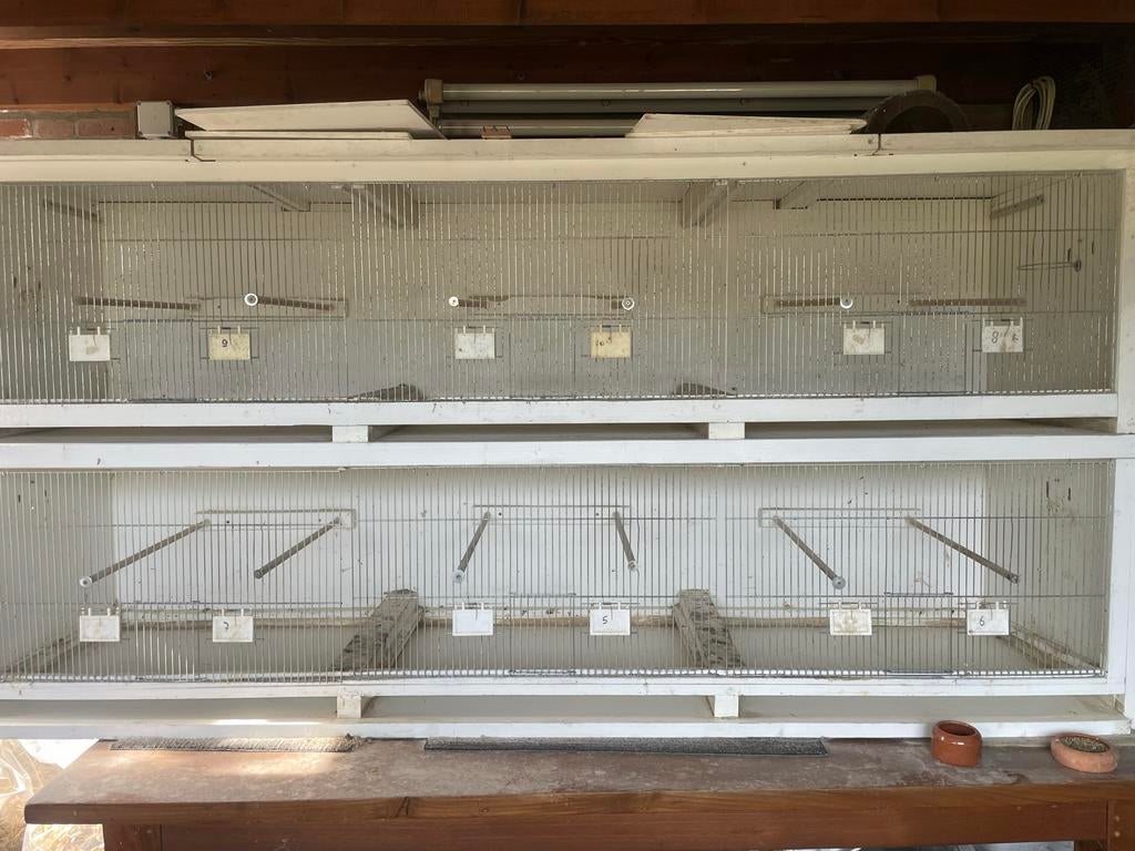 Vogel kweekkooi, Ophalen, Gebruikt, Broedkooi of Kweekkooi, Hout