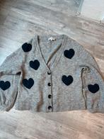 Fabienne Chapot vest, Kleding | Dames, Truien en Vesten, Ophalen of Verzenden, Zo goed als nieuw, Maat 38/40 (M)