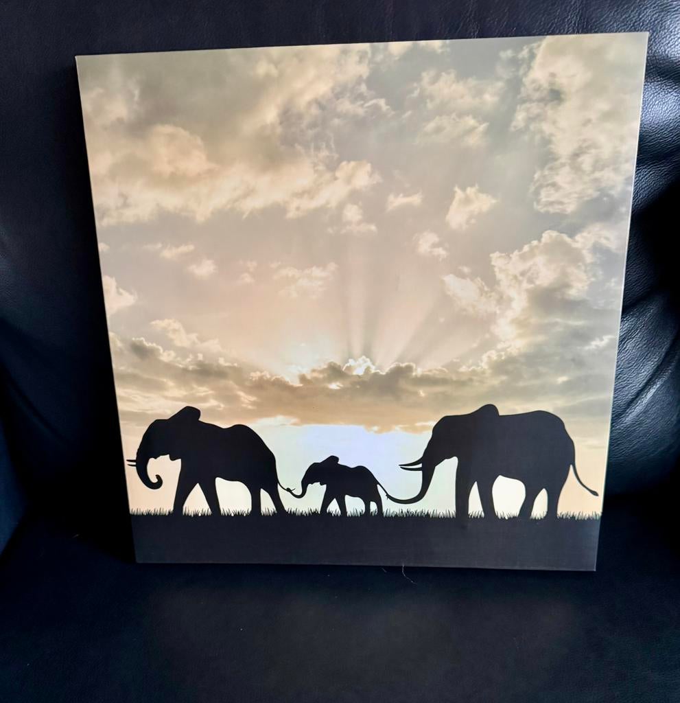 Wand decoratie Olifanten familie, Huis en Inrichting, Ophalen of Verzenden