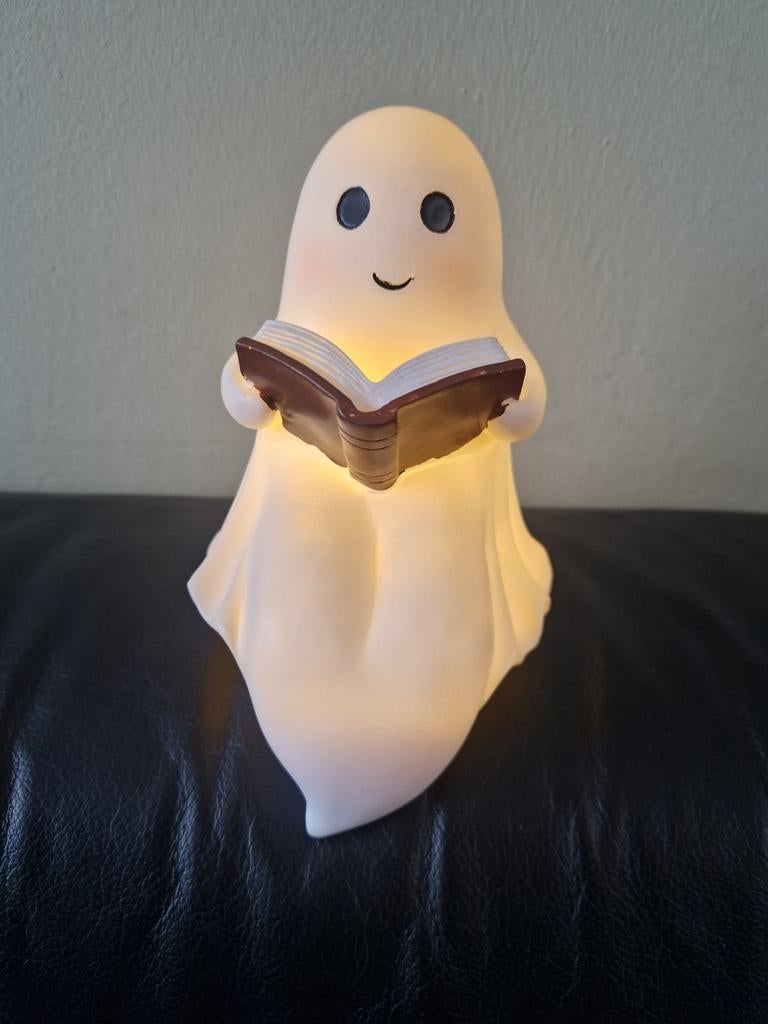 2X Spookleeslampje, Ophalen, Nieuw