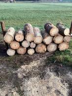 Haardhout, Minder dan 3 m³, Ophalen of Verzenden