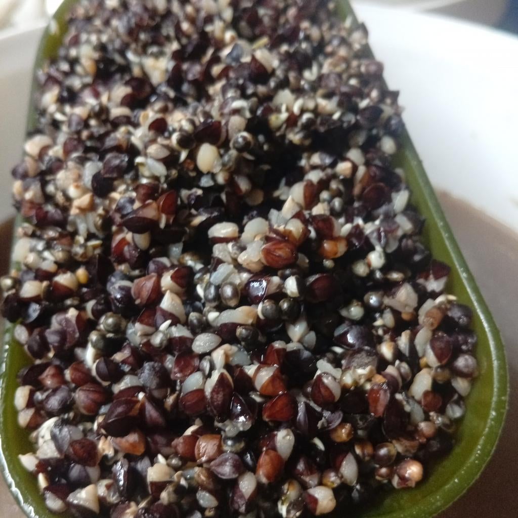 Hennep boekweit mix, Watersport en Boten, Hengelsport | Karpervissen, Nieuw, Overige typen, Ophalen of Verzenden