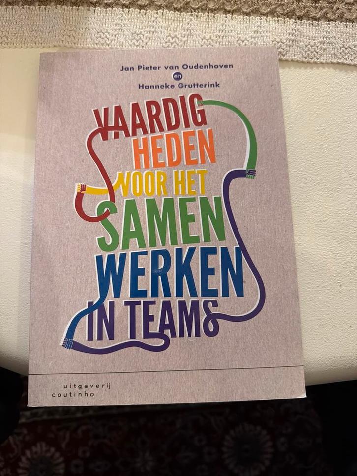 Vaardigheden voor het samenwerken in teams - Studieboek, Boeken, Studieboeken en Cursussen, Zo goed als nieuw, HBO, Ophalen