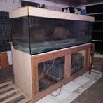 AQUARIUM met biologisch filter (200x60x60), Dieren en Toebehoren, Vissen | Aquaria en Toebehoren, Ophalen, Gebruikt, Leeg aquarium