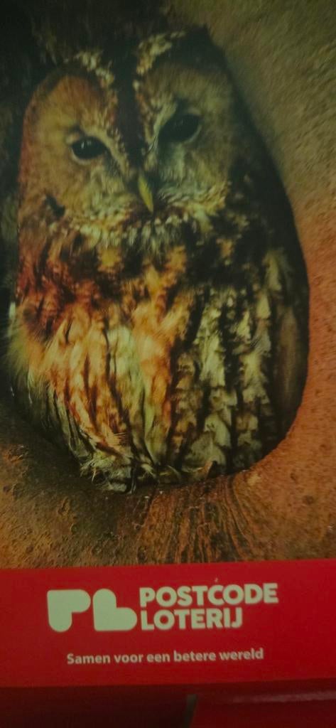 4 kaartjes naar keuze, zie advertentie, Drie personen of meer