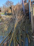 Gratis wilgentakken af te halen, Tuin en Terras, Overige Tuin en Terras, Ophalen of Verzenden