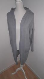 Leuke lange vest maat S t/m L van Sheilay Nieuw!, Sheilay, Ophalen of Verzenden, Nieuw, Grijs