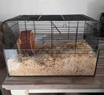 Hamsterkooi glazen bak + loopwiel, Minder dan 60 cm, Kooi, Gebruikt, Minder dan 75 cm