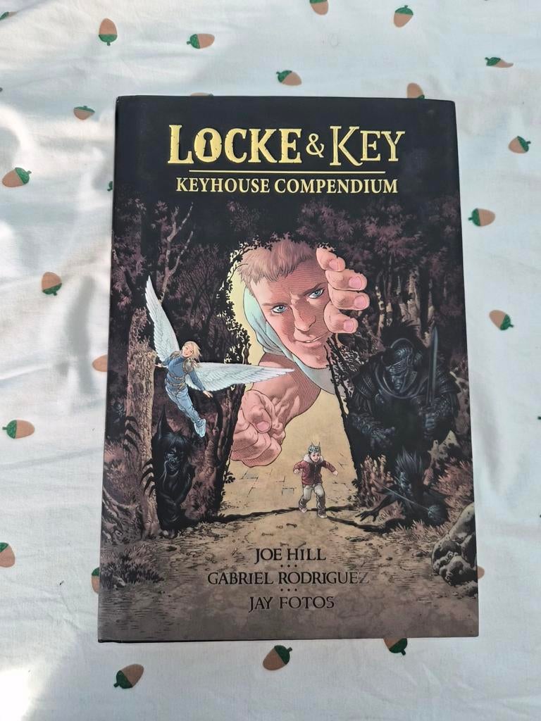Locke & Key Omnibus, Boeken, Complete serie of reeks, Ophalen of Verzenden, Zo goed als nieuw, Amerika