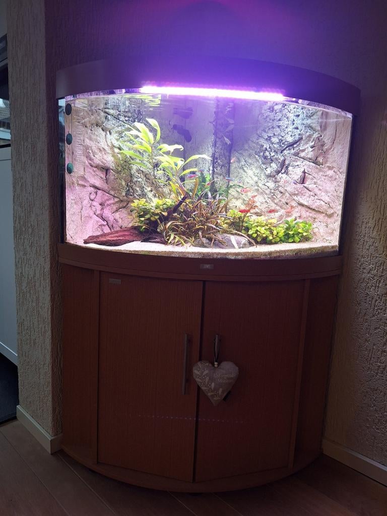 Aquarium Juwel trigon compleet . 150 euro, Dieren en Toebehoren, Vissen | Aquaria en Toebehoren, Ophalen, Zo goed als nieuw, Gevuld zoetwateraquarium