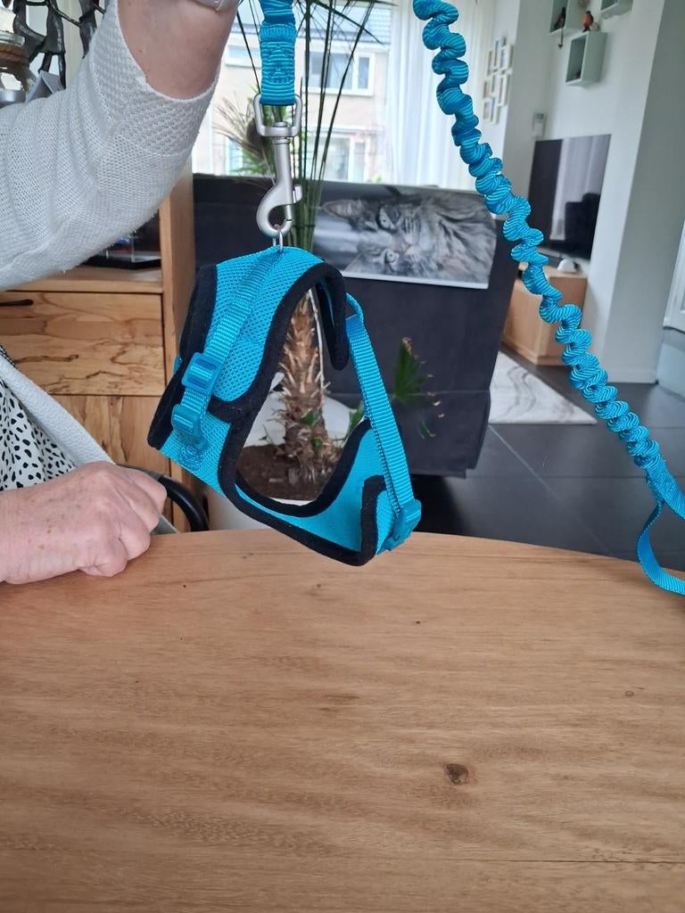 Halsband, Ophalen of Verzenden, Nieuw