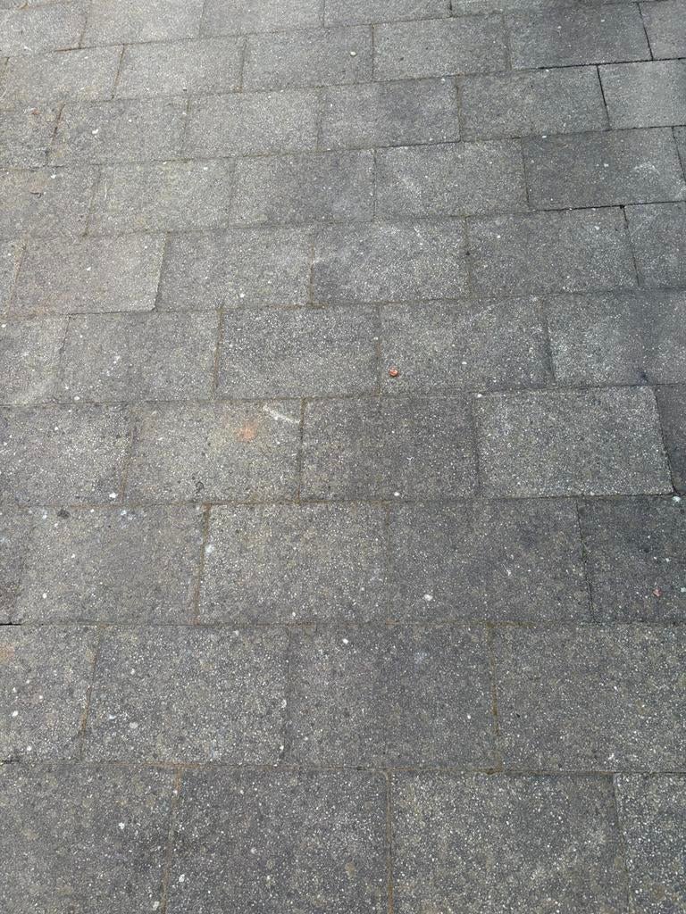 GRATIS Betonklinkers 20x30x6cm ca 30m2, Ophalen, Zo goed als nieuw, Beton, Klinkers