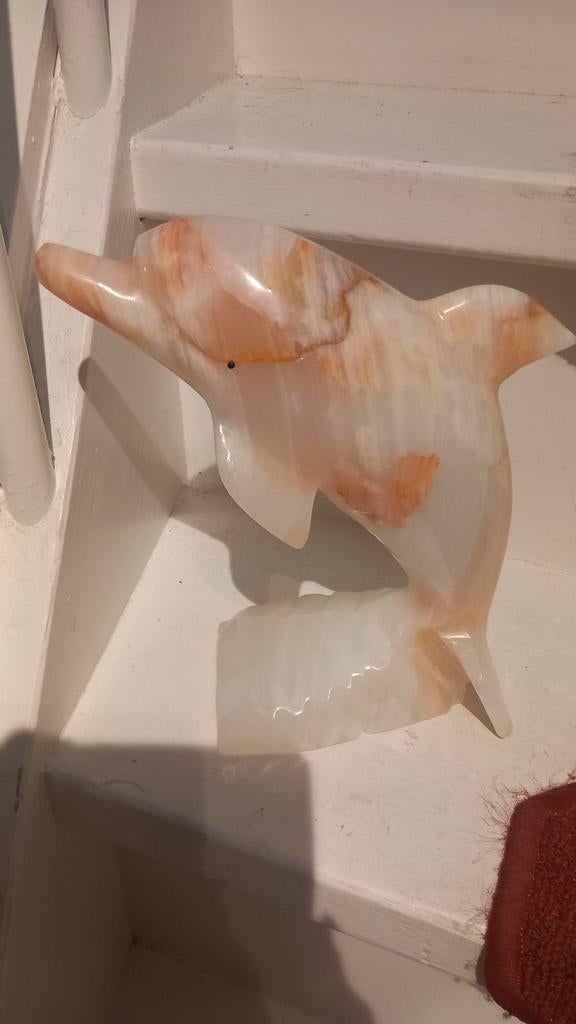 Prachtige marmeren dolfijn  25 cm puntgaaf, Dieren en Toebehoren, Vogels | Kanaries, Mannelijk, Kleurkanarie
