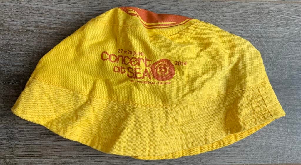 Concert At Sea 2014 BucketHead, Tickets en Kaartjes