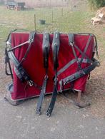 2 span tuig compleet , GOED onderhouden, Dieren en Toebehoren, Paarden en Pony's | Hoofdstellen en Tuigage, Ophalen, Gebruikt