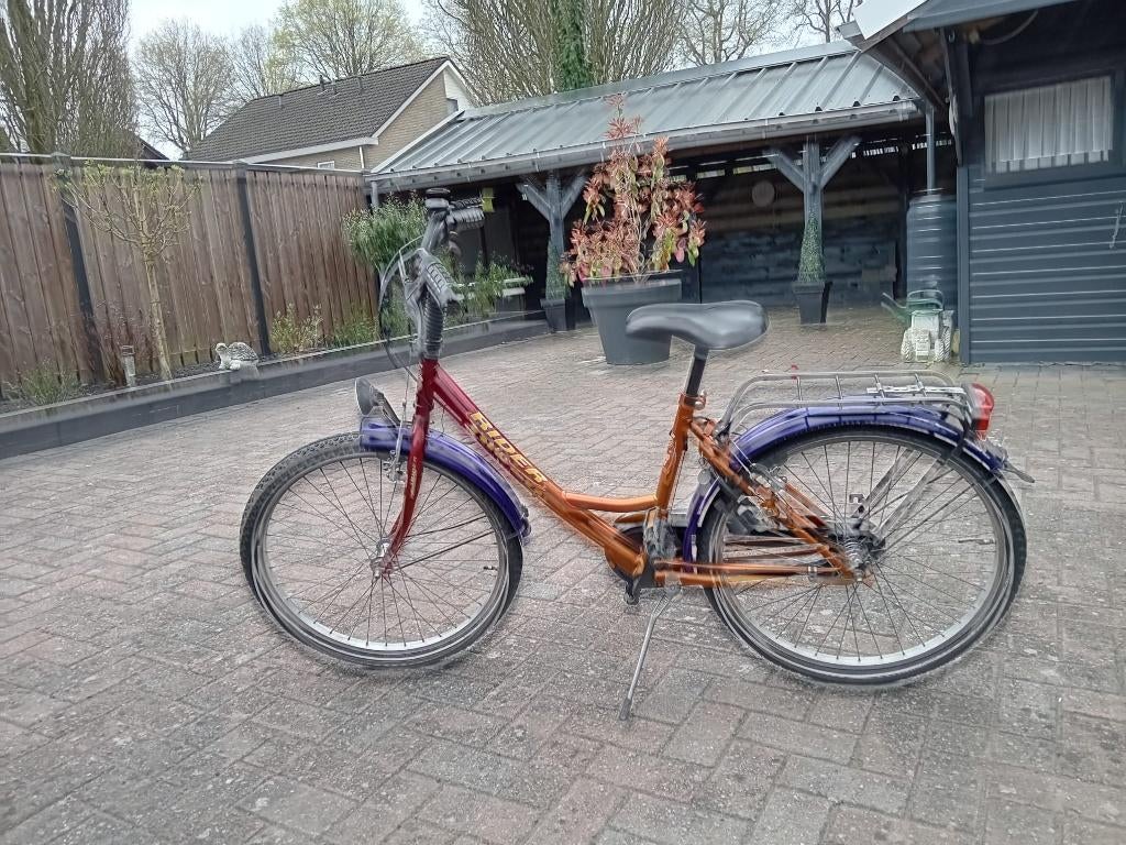 Meisjes fiets, Fietsen en Brommers, Ophalen, Gebruikt, 24 inch
