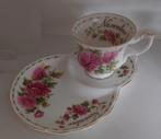 Royal albert petit dejeuner november, Ophalen of Verzenden, Zo goed als nieuw, Overige stijlen, Kop(pen) en/of Schotel(s)