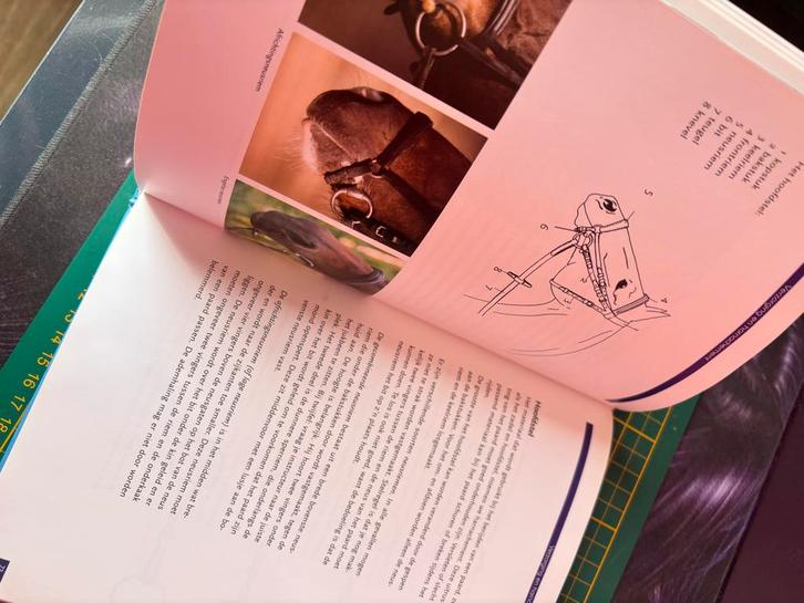 FNRS Handboek: Leer paardrijden met plezier, Boeken, Hobby en Vrije tijd, Gelezen, Overige onderwerpen, Geschikt voor kinderen