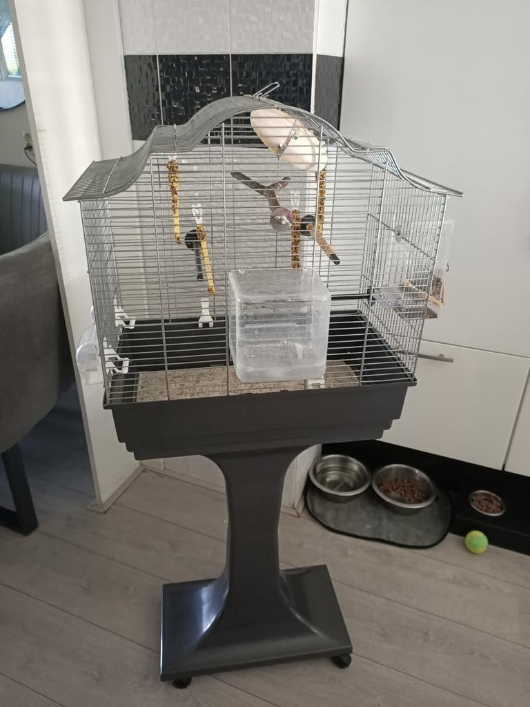 Vogelkooi met toebehoren, Dieren en Toebehoren, Vogels | Hokken en Kooien, Ophalen, Zo goed als nieuw, Metaal, Vogelkooi
