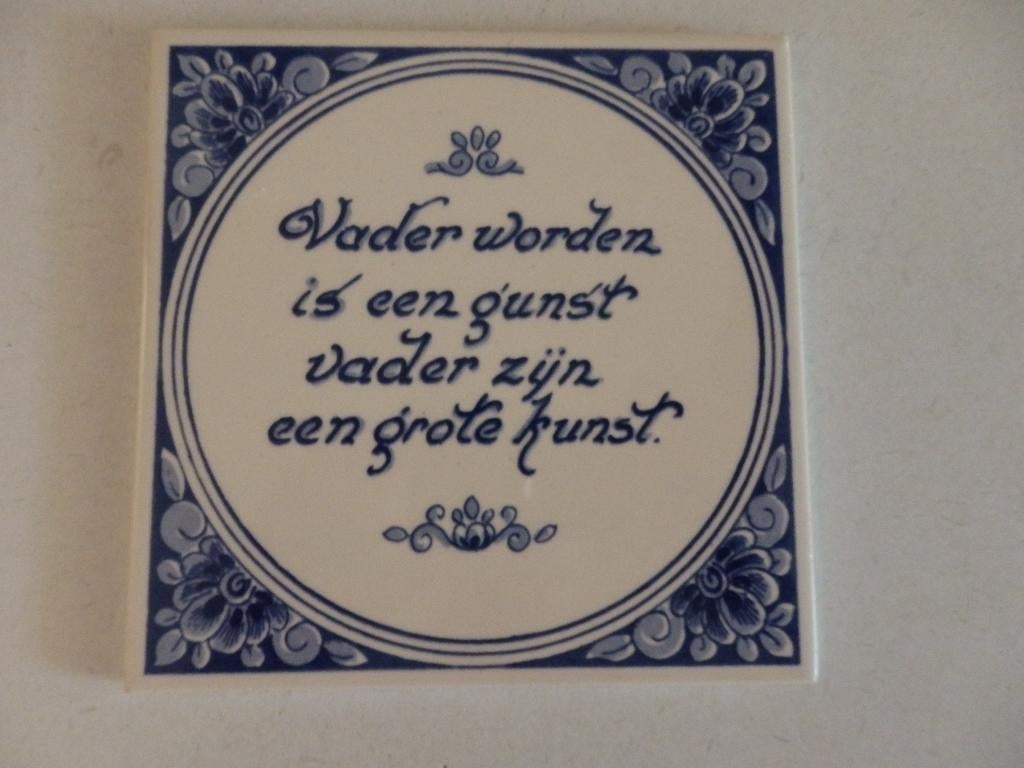 Tegel,  vader worden is een kunst, Ophalen of Verzenden