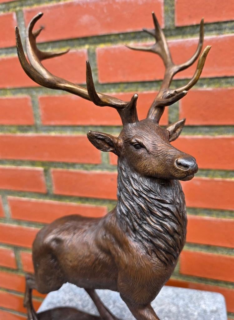 bronzen beeld / HERT/ 36 cm hoog / EDELHERT, Ophalen of Verzenden, Handgemaakt, Brons