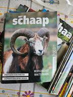 Het Schaap - Tijdschrift voor schapenhouderij, Ophalen of Verzenden, Gelezen, Wetenschap en Natuur