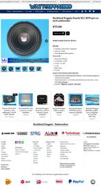 Rockford Fosgate Punch XLC RFP2410 10 inch subwoofer, Auto diversen, Autospeakers, Gebruikt, Audio Design, Am Breilingsweg 3, 76709 Kronau, Duitsland