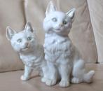 Schattige katten Hutsenreuther, Ophalen of Verzenden