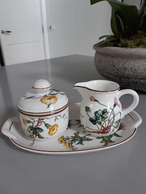 Roomstel Villeroy en Boch Botanica, Huis en Inrichting, Keuken | Servies, Ophalen of Verzenden