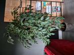Grote kunstplant, Huis en Inrichting, Ophalen of Verzenden, Zo goed als nieuw