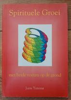 Jurre Yntema, Spirituele Groei, Ophalen of Verzenden, Gelezen, Spiritualiteit algemeen, Overige typen