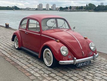 Prachtige Volkswagen Kever 1966  beschikbaar voor biedingen