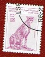 Fauna - Katachtigen - Somalis - 1619 - Jachtluipaard - gebr, Ophalen of Verzenden, Dier of Natuur