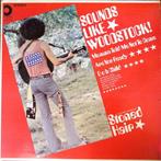 Stoned Hair ‎– Sounds Like Woodstock., Cd's en Dvd's, Vinyl | Pop, Ophalen of Verzenden, 1960 tot 1980, Gebruikt, Overige formaten