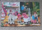 Playmobil Poster - Sky Trails, Ophalen of Verzenden, Gebruikt