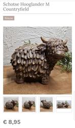 Mooie Schotse hooglanders beelden, Ophalen of Verzenden, Nieuw