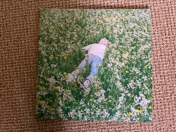 Porter Robinson - Nurture (Clear Vinyl - Mint) beschikbaar voor biedingen