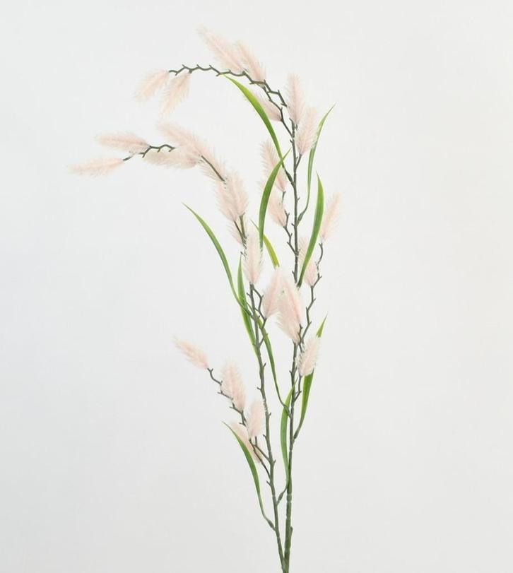 KATTENSTAART - KUNST, Huis en Inrichting, Woonaccessoires | Kunstplanten en Kunstbloemen, Nieuw, Ophalen of Verzenden