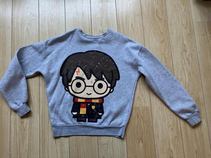 Sweater trui grijs Harry Potter maat XS / 34/36, Verzamelen, Harry Potter, Zo goed als nieuw, Overige typen, Ophalen of Verzenden