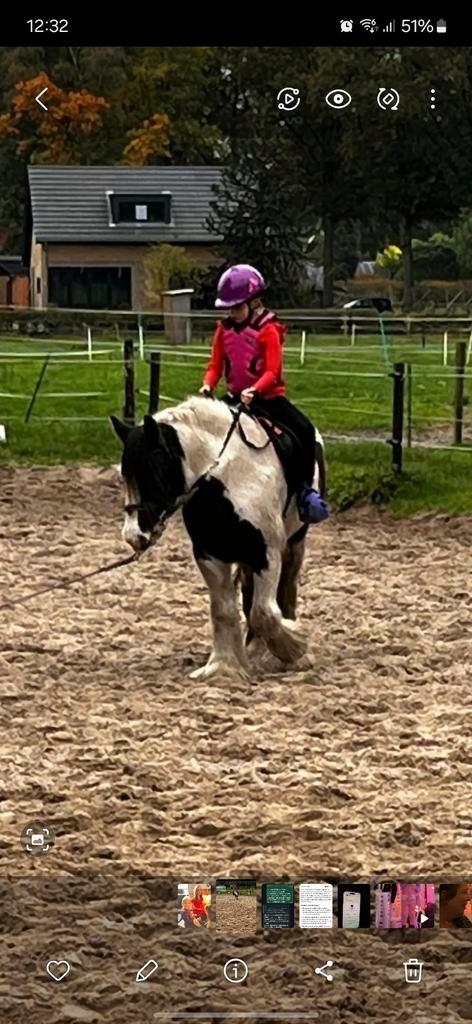 Lieve Tinker pony zoekt 5 sterren huis, Dieren en Toebehoren, Pony's, Ruin, Zadelmak, C pony (1.27m tot 1.37m), Recreatiepony