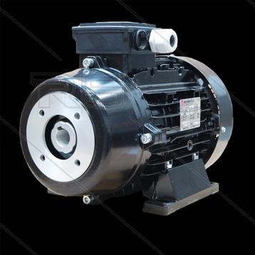 18.5 kW E-motor KTR Flex IEC160 400/690V TB beschikbaar voor biedingen