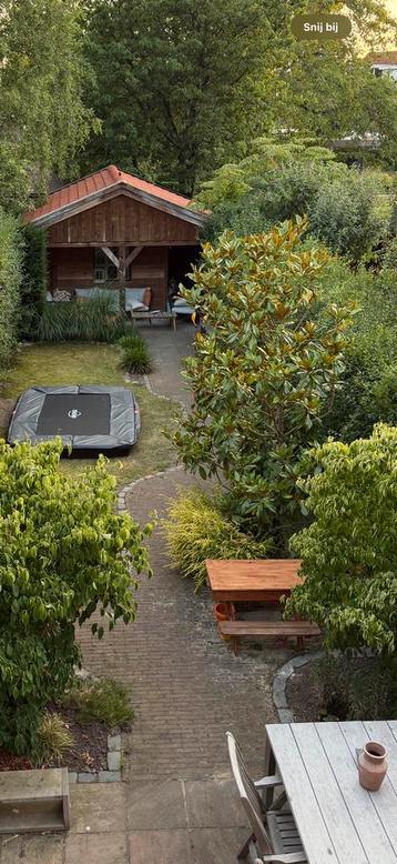 Prachtige witte Magnolia 350 cm - mag al weg! beschikbaar voor biedingen